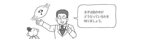 筋の構造 筋の構造